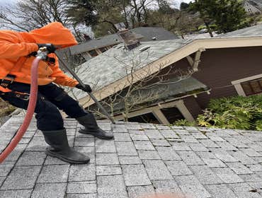 Photos by I&x Construction - Hillsboro Roof Moss Removal & Pressure Washing Service #1