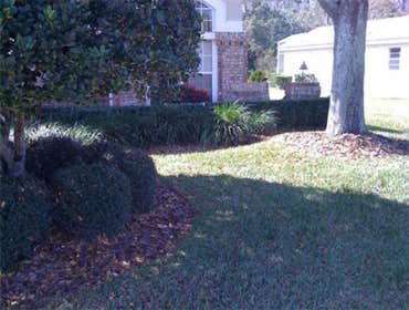 Landscaping We have a knowledgeable staff that is equipped to maintain your properties and service your needs from top to bottom. We are a complete in-