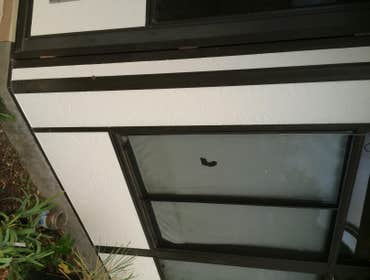 Photo(s) from JBL Finishes Examples of our painting, carpentry, and repair work in various areas of San Diego County including Ocean Beach, Pacific Bea