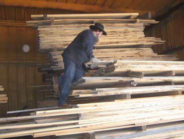 PICTURE FROM OUR MILL