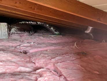 Photos by B Green Pro Attic inc. | Attic Cleaning Service #12