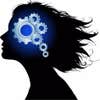 Insight Security Solutions LLC logo