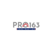 Pro 163 Construction LLC logo
