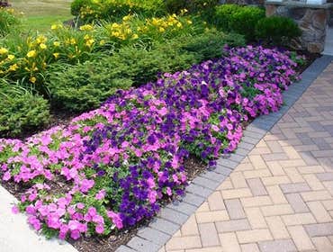 Photos from Promark Landscaping Inc