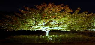 The Illuminators Project