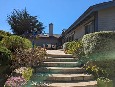 Photos by Tuyub Landscaping #6