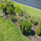landscape lighting
