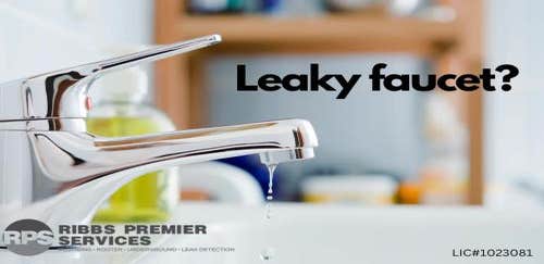 Ribbs Plumbing Services