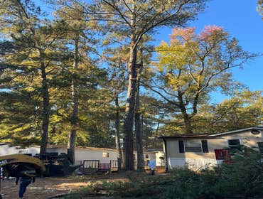 Photos by Kings Tree Service & Landscaping Co #10
