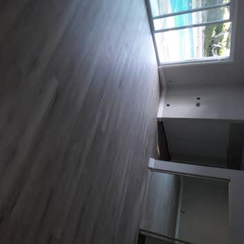 Carpet & Flooring Investors Inc