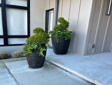 Photos by Hernandez ASSOC. Landscaping