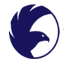 American Eagle Home Inspections logo