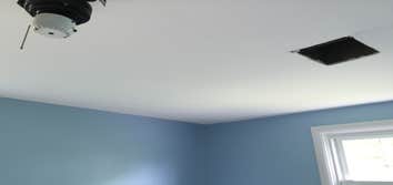 Doyle Painting
