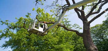 Brs Bowerman Removal Service