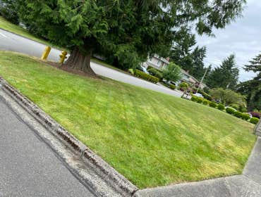 Photos by Hernandez Landscaping #1