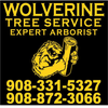 Wolverine Tree Service logo
