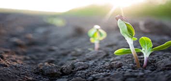 Highland Grove Landscaping & Farm