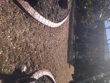 Photos from Coastal Curbing