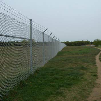 Chain Link
