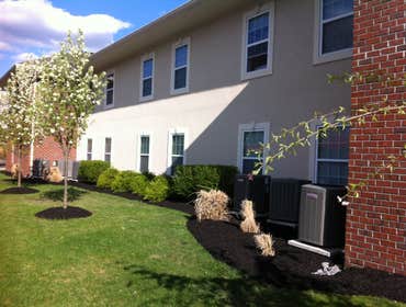 Edging and Mulch