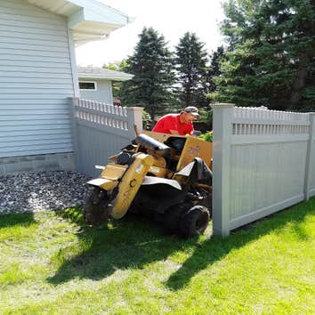 Paul's stump removal