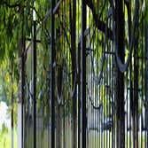 Fence