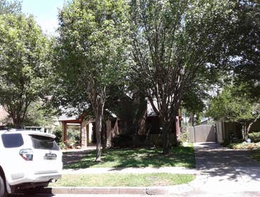 Photos from Browns Outdoor Tree Service