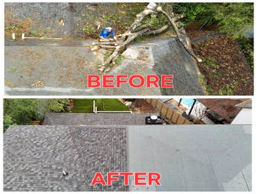 Tree Damage Structural Repair