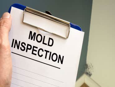 Photos by Milwacky Mold Inspections #1