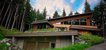 Modern earth contact home