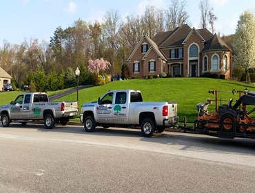 Photos by Amigos Lawn Care & Tree Service #1