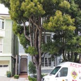 Divisadero St Home Remodel