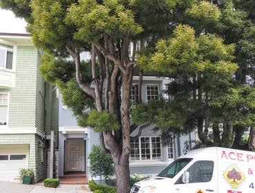 Divisadero St Home Remodel