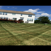 lawn Stripes