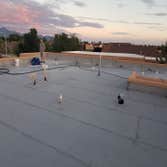 Photos by Rhino Roofing & Construction #1