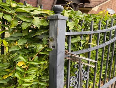 Photos by Everlast Gates& Doors #1