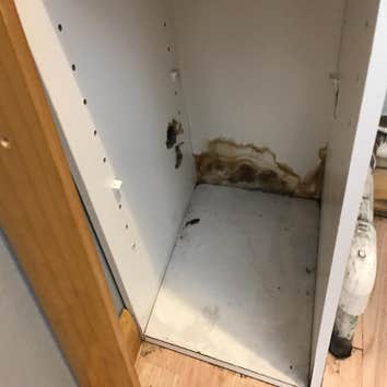 All Suburban Mold Service Inc