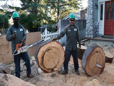 Photos by California Green Tree Care #1