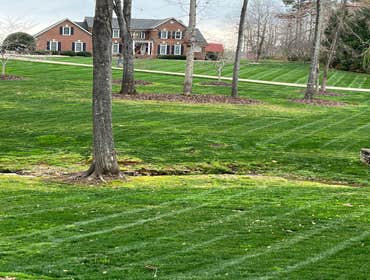 Photos by Hernandez ASSOC. Landscaping