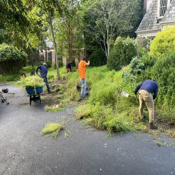 Bautista Landscaping LLC