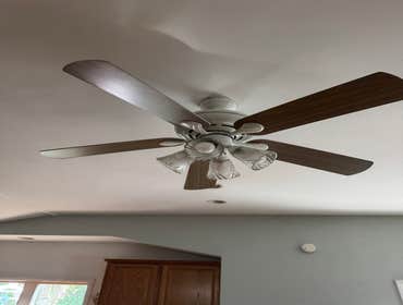 Photos by Jackson Electric #1