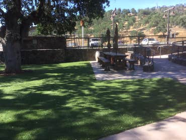 Photos by NorCal Easy Green Synthetic Lawn #1