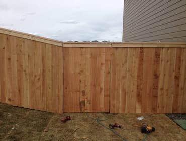 Cedar