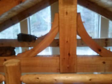Photos from Heartland Builders, Inc