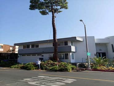 Photos by Villeda Tree Services #1