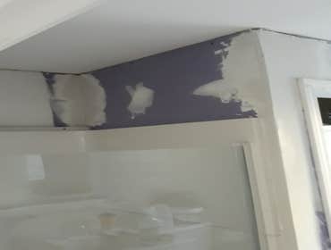 Photos by Ryans Painting Plus Carpentry and Handyman Services #2