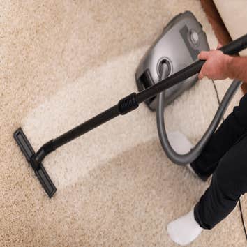 Colorado Stainmaster Carpet Cleaners & Water Damage Restoration (colorado Springs)
