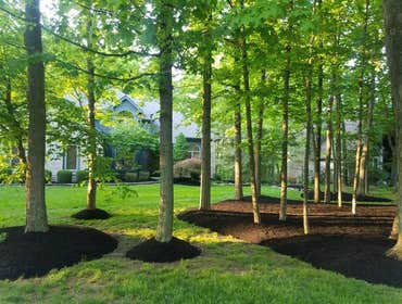 Photos by Jm Landscape and Tree Services #1