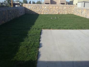 Cool Sodded Yard