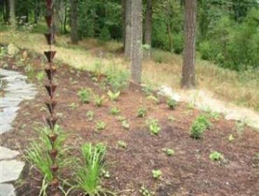 Ecological Design Working with nature to enhance our surroundings